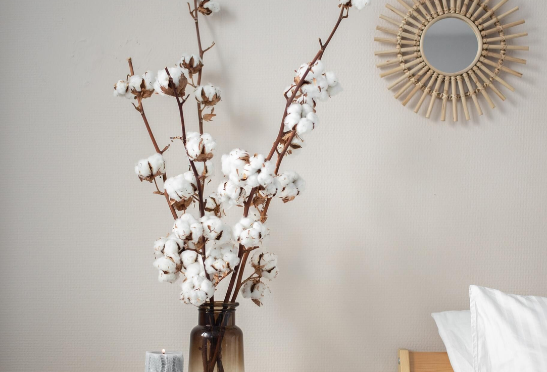 Cawliflower Decorative